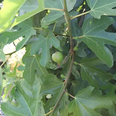 別荘 La Prairie Vagabonde Surville